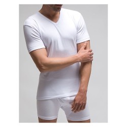 CAMISETA TERMICA MANGA...